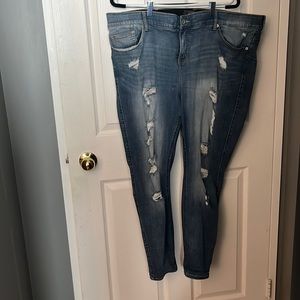 Light Wash Plus Skinny Jeans